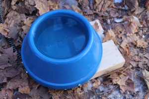 Heated dog bowl